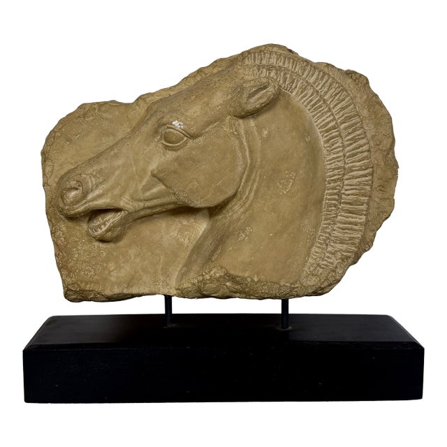 Mid 20th Century Horse Head Casted Sculpture For Sale