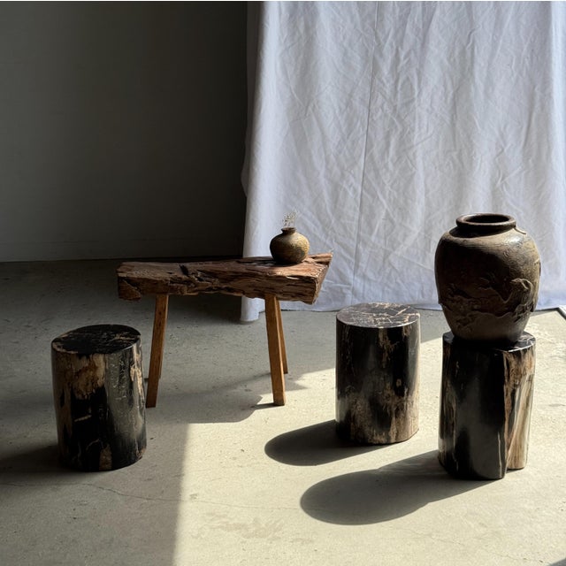 Side Table in Black Petrified Wood with Beige Star Pattern For Sale - Image 11 of 18