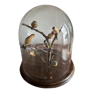 1950s Wood Carved Birds Under Glass Dome For Sale
