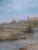 1960s Wilfred Ellison, Castle View, 1962, Oil Painting on Wood, Framed For Sale - Image 5 of 12
