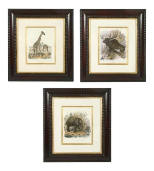 Set of Three Animal Prints in Mahogany Frames