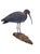 Vintage Glossy Ibis Sculpture For Sale - Image 11 of 16