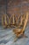Wood Sculptural Rattan and Wood Lounge Chairs, 1960s, Set of 4 For Sale - Image 7 of 8