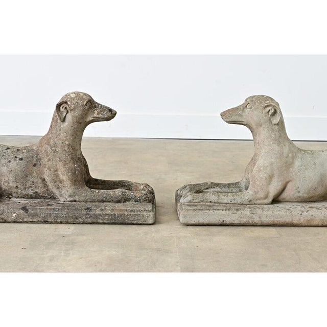 Early 20th Century English Pair of Cast Stone Whippet Garden Statues For Sale In Baton Rouge - Image 6 of 10