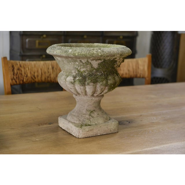 Medici Vases in Reconstituted Stone, 1950s, Set of 2 For Sale - Image 6 of 12