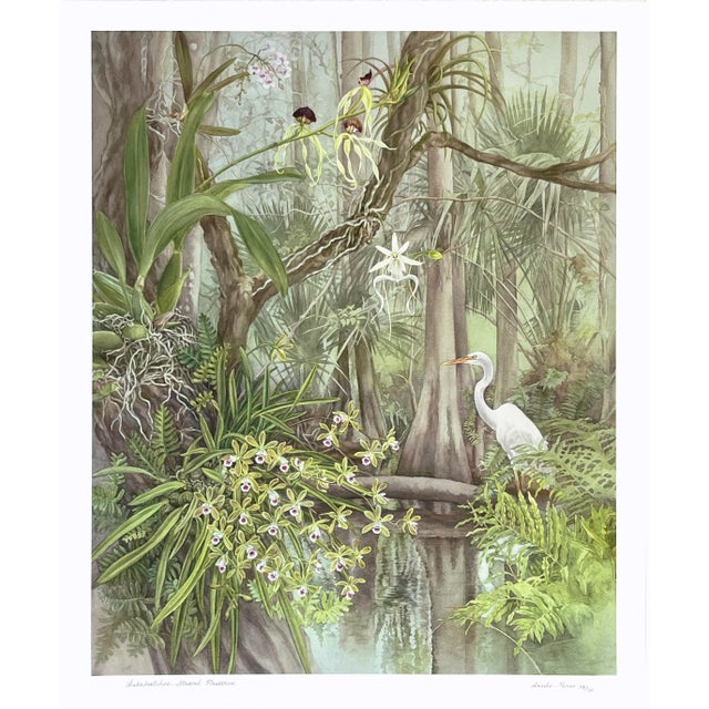 “Fakahatchee Strand Preserve” Giclee Print by Angela Mirro - For Sale