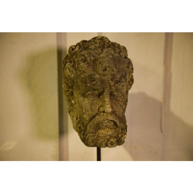Early 19th Century Neo-Renaissance Stone Head of a Man, 1800s For Sale - Image 5 of 12