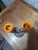 Fat Lava Double Candlestick from Vallauris, 1960s For Sale - Image 3 of 8
