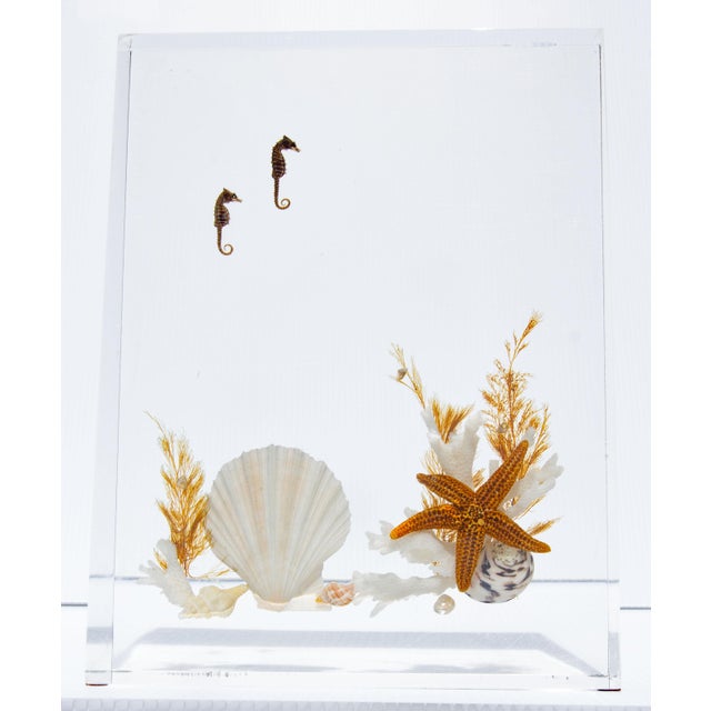 Lucite specimen decorative objects. Set of three. Mid 20th century.