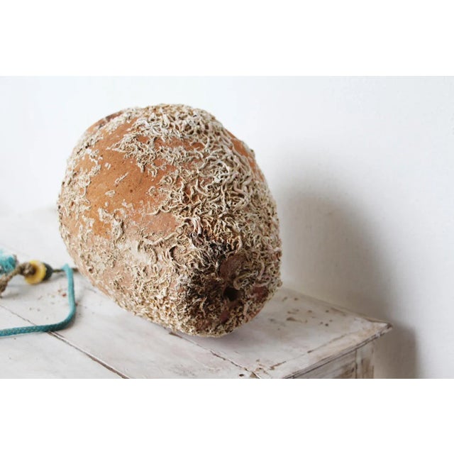 19th Century Terracotta Octopus Trap Vase For Sale - Image 12 of 13