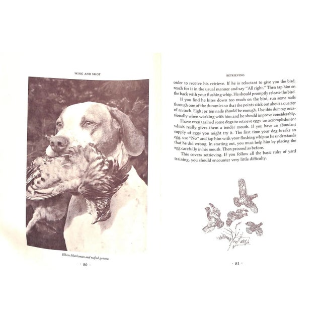 "Wing & Shot- Gun Dog Training" 1979 Wehle, Robert G. For Sale - Image 9 of 12