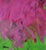 Magenta Lime by Robbie Kemper For Sale