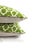 Raoul Textiles George Smith Stella in the Color Wheatgrass Pillow Cover For Sale - Image 4 of 5