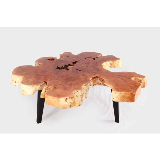 Modern Lychee Living Edge Coffee Table 93 For Sale In Greensboro - Image 6 of 6