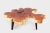 Modern Lychee Living Edge Coffee Table 93 For Sale In Greensboro - Image 6 of 6