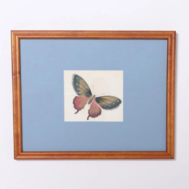 Mid 20th Century Vintage Set of Six Moth Watercolors For Sale - Image 5 of 7