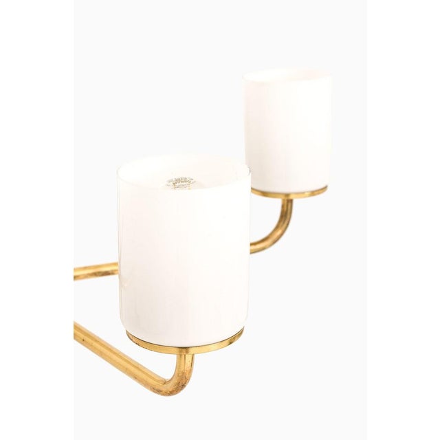 Metal Ceiling Lamp in Brass and Opaline Glass in the style of Paavo Tynell, 1950s For Sale - Image 7 of 8