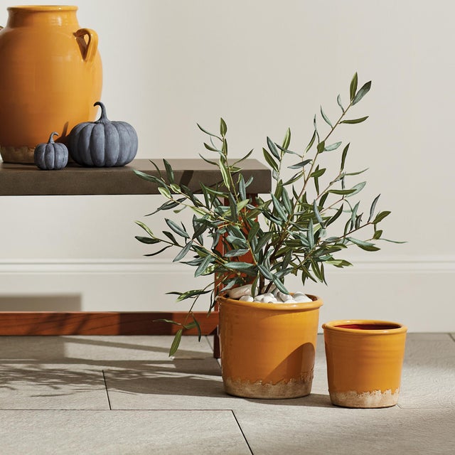 Early 21st Century Olive Tree Drop-In 26" For Sale - Image 5 of 5