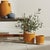 Early 21st Century Olive Tree Drop-In 26" For Sale - Image 5 of 5