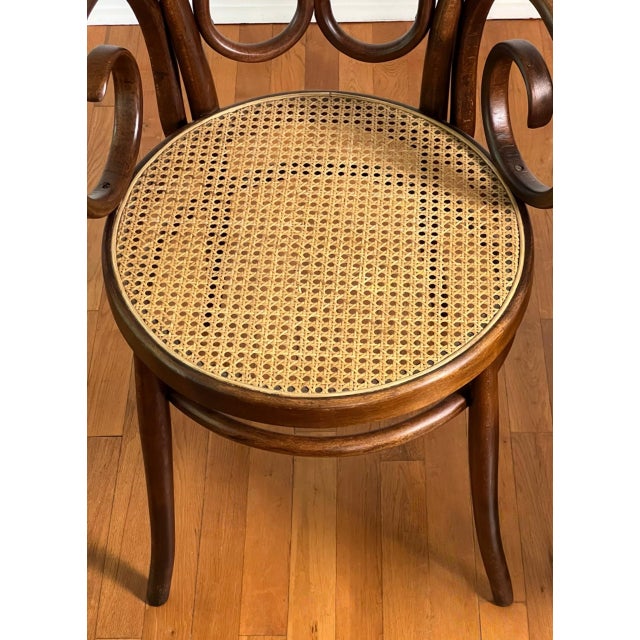 Wood Italian Bentwood Thonet Cafe Daum Style Armchairs by Salvatore Leone, Set of 3 For Sale - Image 7 of 18