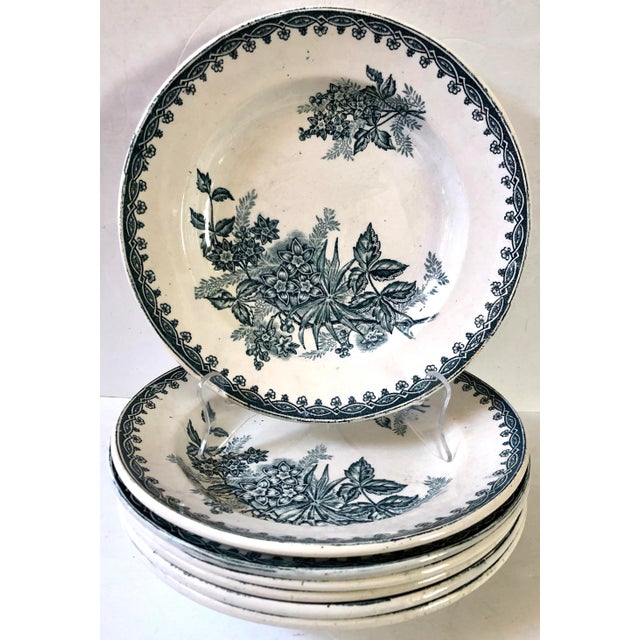 Saint Amandinoise French Bowls, Set of 7 For Sale In San Francisco - Image 6 of 6