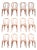 Chairs in Curved Beech Wood and Straw Seat, 1990s, Set of 12 For Sale