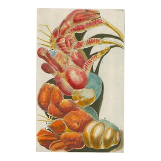 Georg Wolfgang Knorr – Lobsters & Crustaceans – 18th-Century Engraving with Modern Hand Coloring – Plate I For Sale