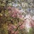 Forest Green Manuel Ramos Artal, Garden Scene, Late 1800s, Oil on Canvas, Framed For Sale - Image 8 of 18