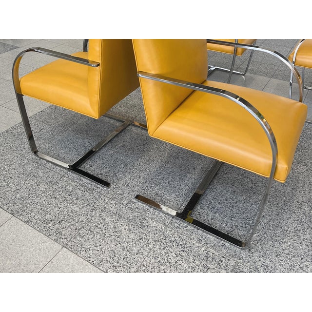 Chrome & Yellow Leather Chairs in the Style of Ludwig Mies Van Der Rohe & Lilly Reich - A Set of 6 For Sale - Image 12 of 15