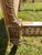 Antique French Carved Wood and Upholstered Headboard and Bed Frame For Sale - Image 15 of 18