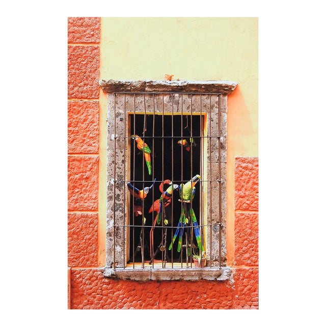 Colorful Window & Toy Parrots Photograph For Sale