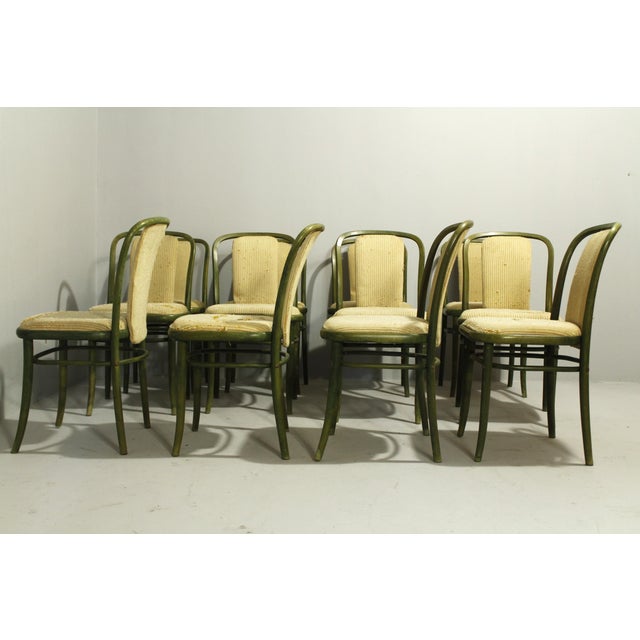 Wood Vintage Project Chairs, 1970s, Set of 12 For Sale - Image 7 of 17