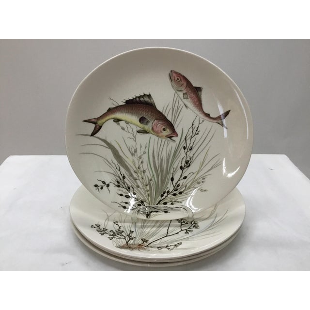 Set of Four Vintage Johnson Bros.,England Fish Plates . Chairish
