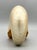 Contemporary Large Natural Polished Nautilus Shell Specimen – Coastal / Organic Modern For Sale - Image 3 of 9