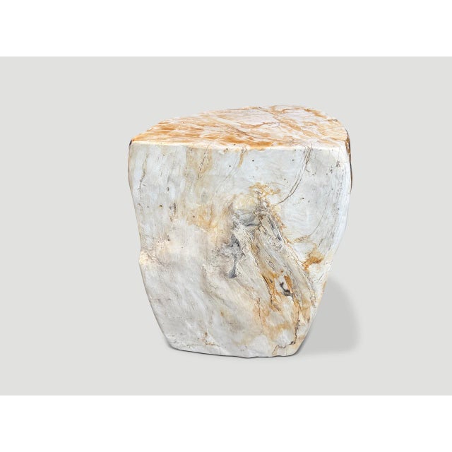 Beautiful tones on this ancient petrified wood side table. It’s fascinating how Mother Nature produces these exquisite 40...