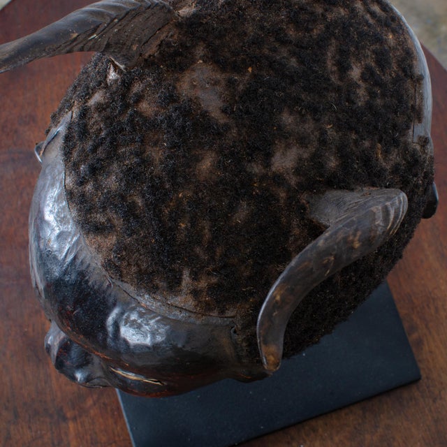 Black Ekoi Ejagham Janiform Headcrest, Nigeria For Sale - Image 8 of 9