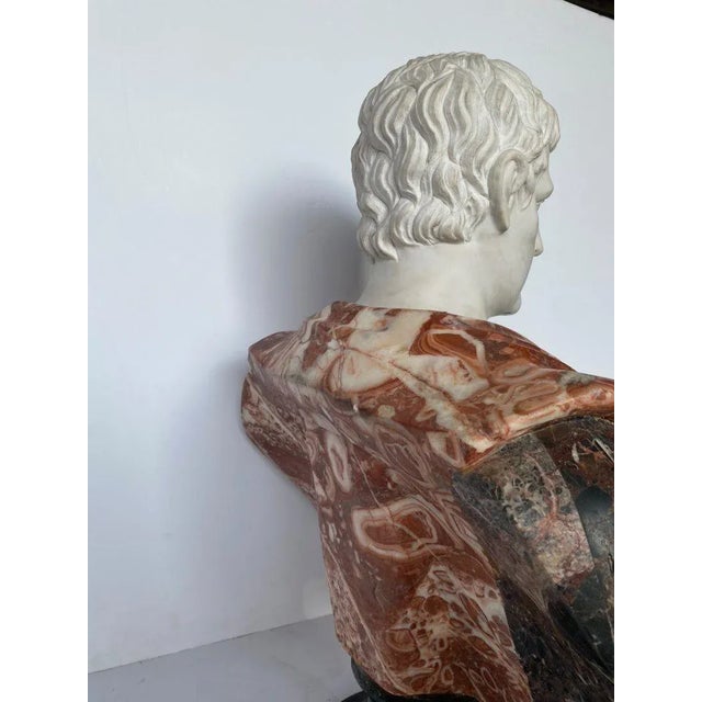 Early 20th Century Large Marble Specimen Bust of Julius Caesar For Sale - Image 4 of 9