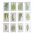 Antique 19th Century Botanical Fern Wood Engravings - Set of 12 For Sale