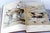 A Flight of 3 Elegant Bird Books – Audubon, Fuentes, Peterson –Oversized Illustrated Ornithology Editions For Sale - Image 12 of 15