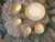 Antique Italian Grand Tour Plaster Intaglios - Set of 5 (Group #8) For Sale - Image 10 of 10