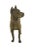 Brown Original Bronze Pit Bull Sculpture For Sale - Image 8 of 9