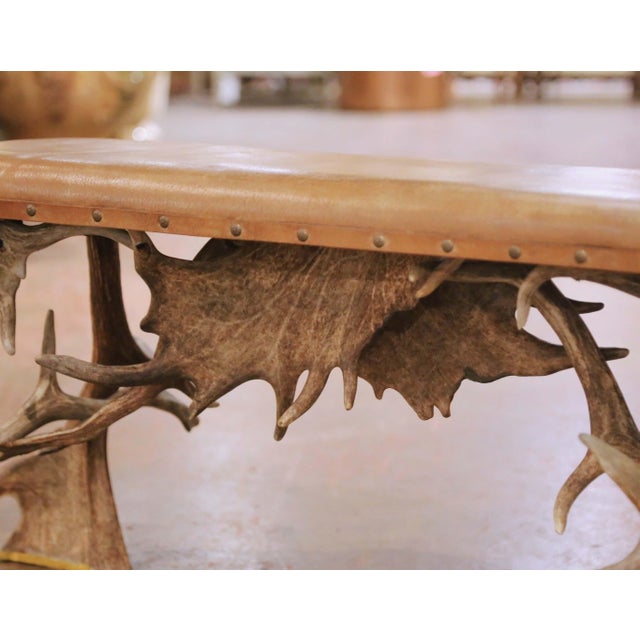 Animal Skin Early 20th Century Austrian Black Forest Antler Bench With Leather Seat For Sale - Image 7 of 9