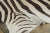 Animal Skin Rug & Kilim’s Contemporary Burchell Zebra Hide Rug With Classic Black Stripes (Pair) For Sale - Image 7 of 9