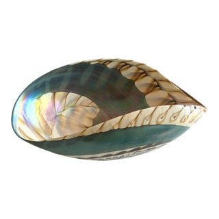 Fornace Ferro Murano Style Art Glass Bowl in the Shape of a Sea Shell For Sale