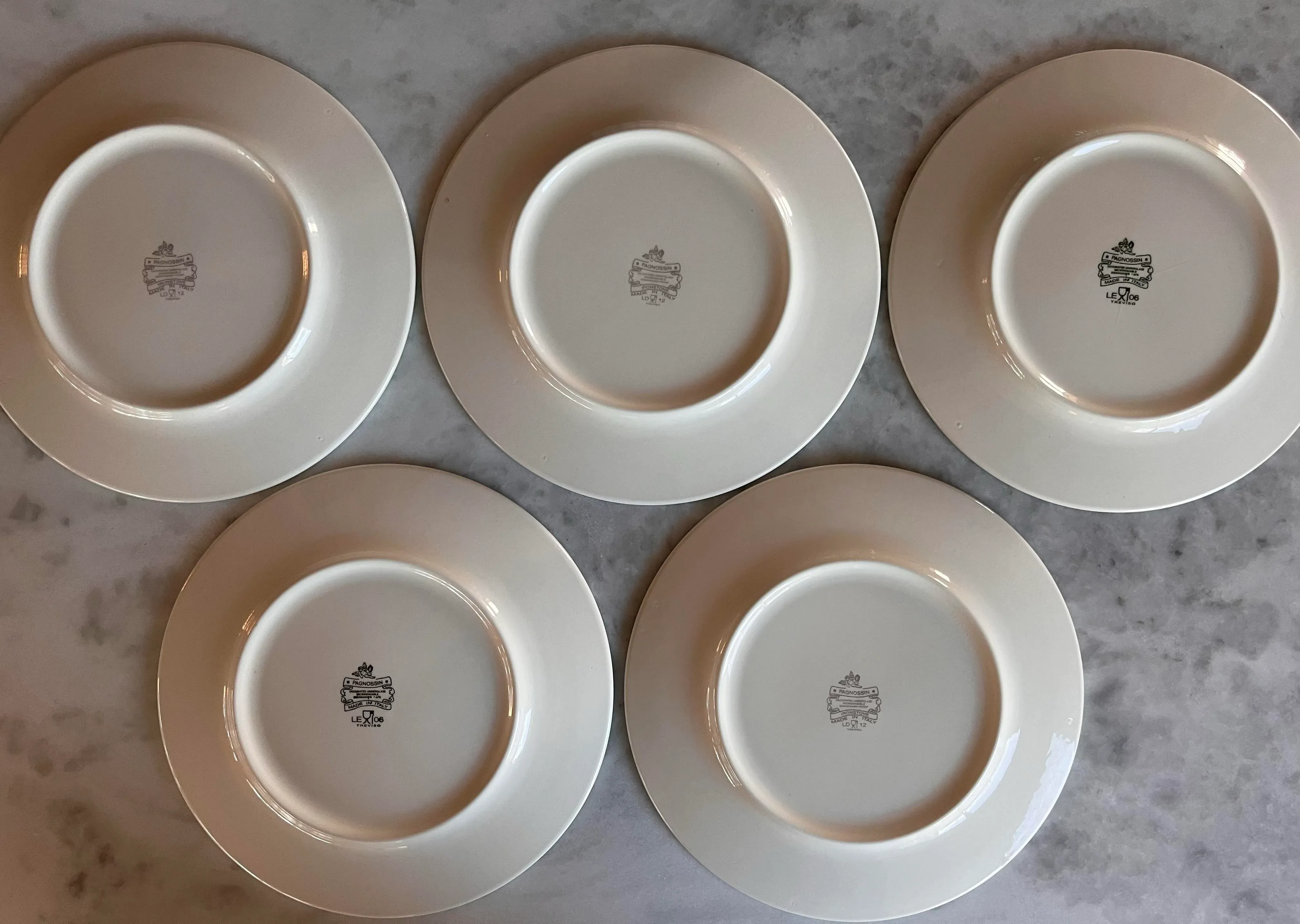 Set of 5 Pagnossin Ironstone Audrey Pattern Dinner Plates | Chairish