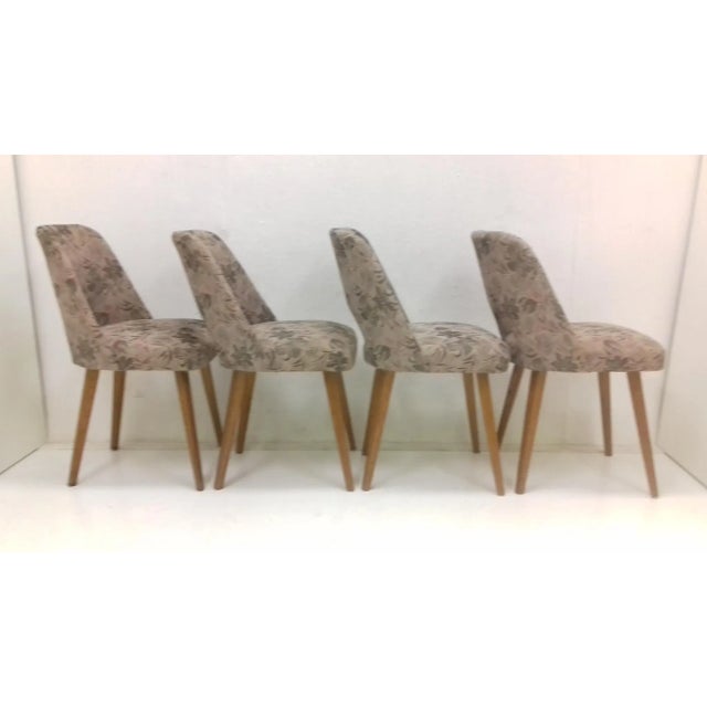 Wood Dining Chairs by Oswald Haerdtl, 1950s, Set of 4 For Sale - Image 7 of 13