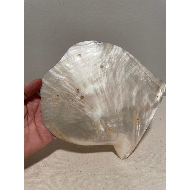 Shell Antique Chinese Carved Oyster Shell on Stand For Sale - Image 7 of 18