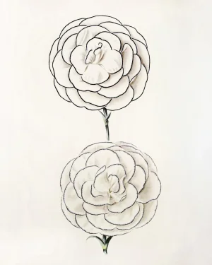 Reproduction Black and White Deco Flower Print - 16" X 20"