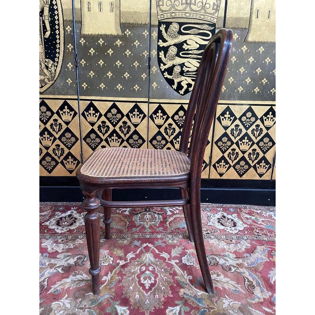 Chairs in Caning from Thonet, Set of 5 For Sale - Image 9 of 11