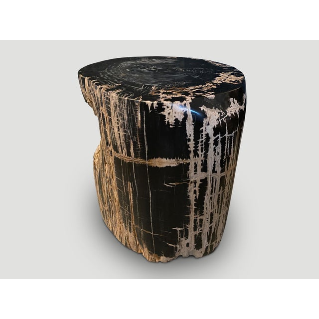Andrianna Shamaris Ancient Sculptural Petrified Wood Side Table For Sale - Image 12 of 18